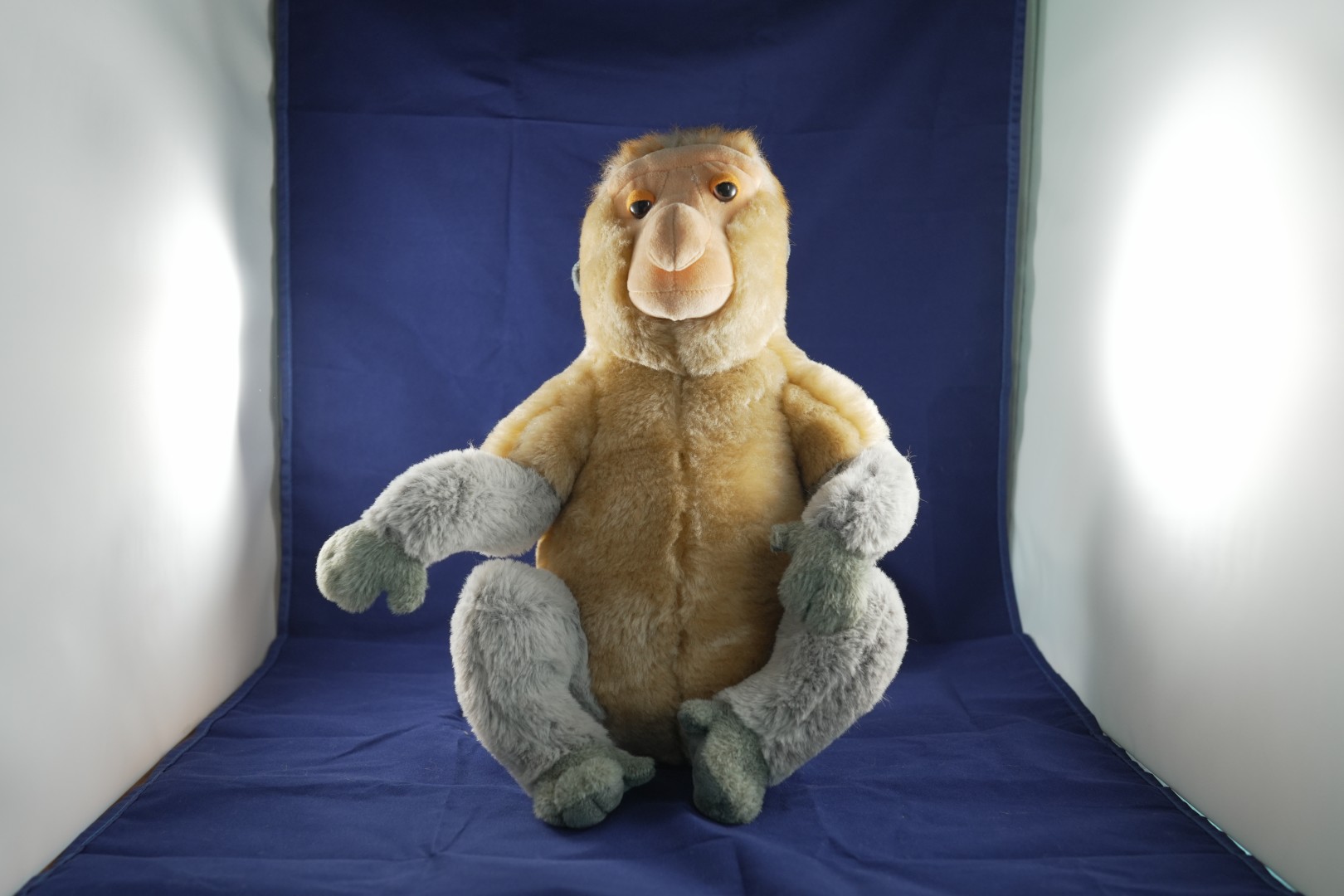 Dreaming Proboscis Monkey