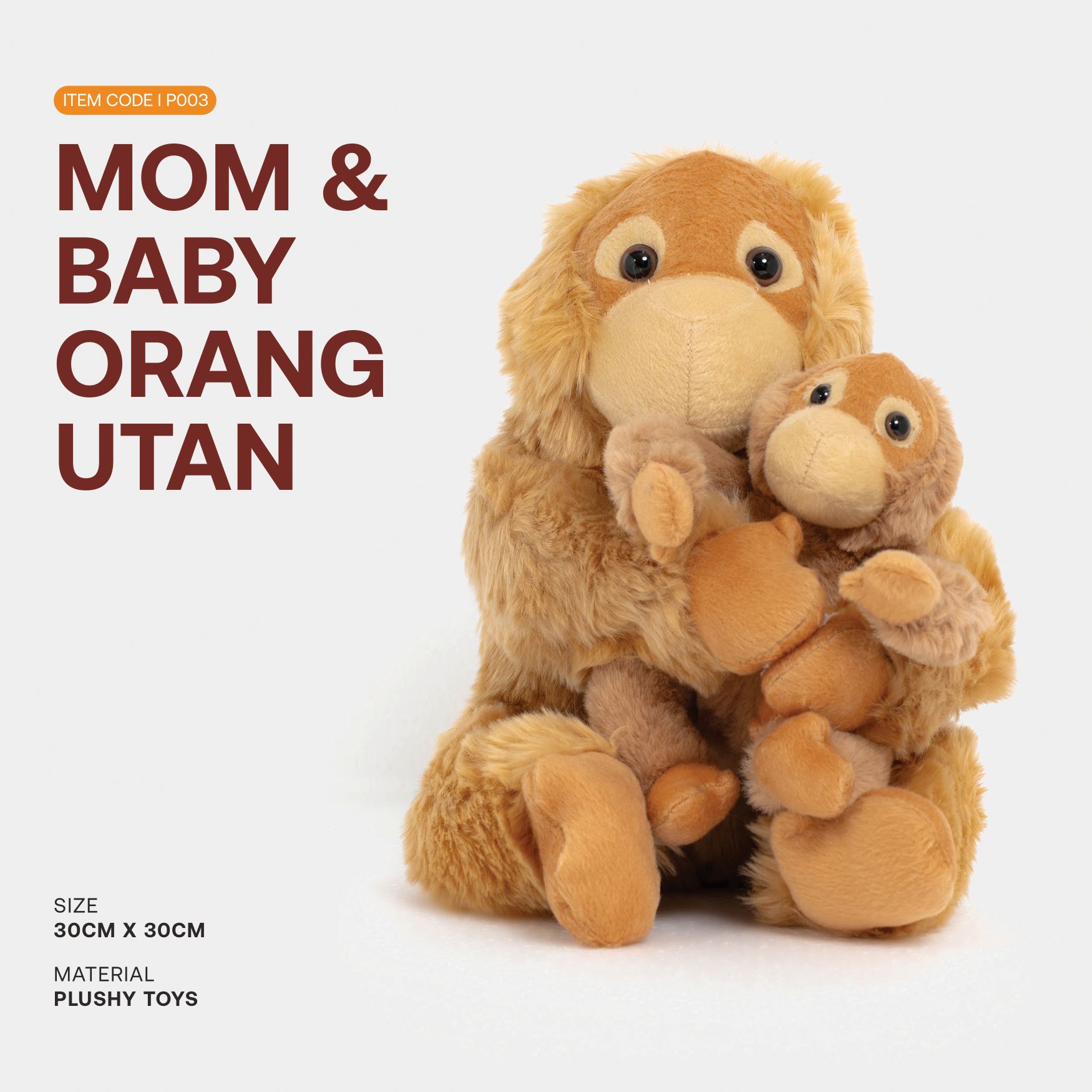 Mom & Baby Orang Utan